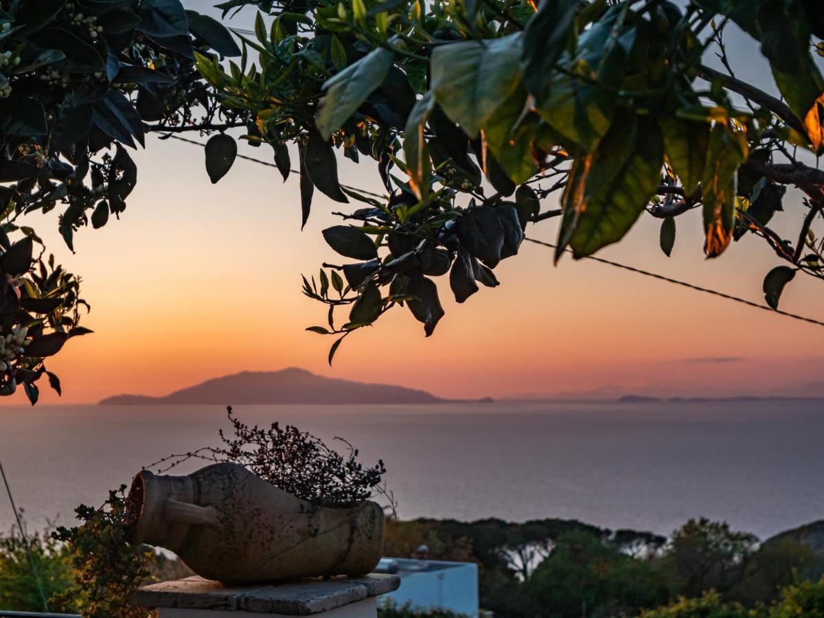 Casa Astra Anacapri (Isola di Capri) Exterior foto