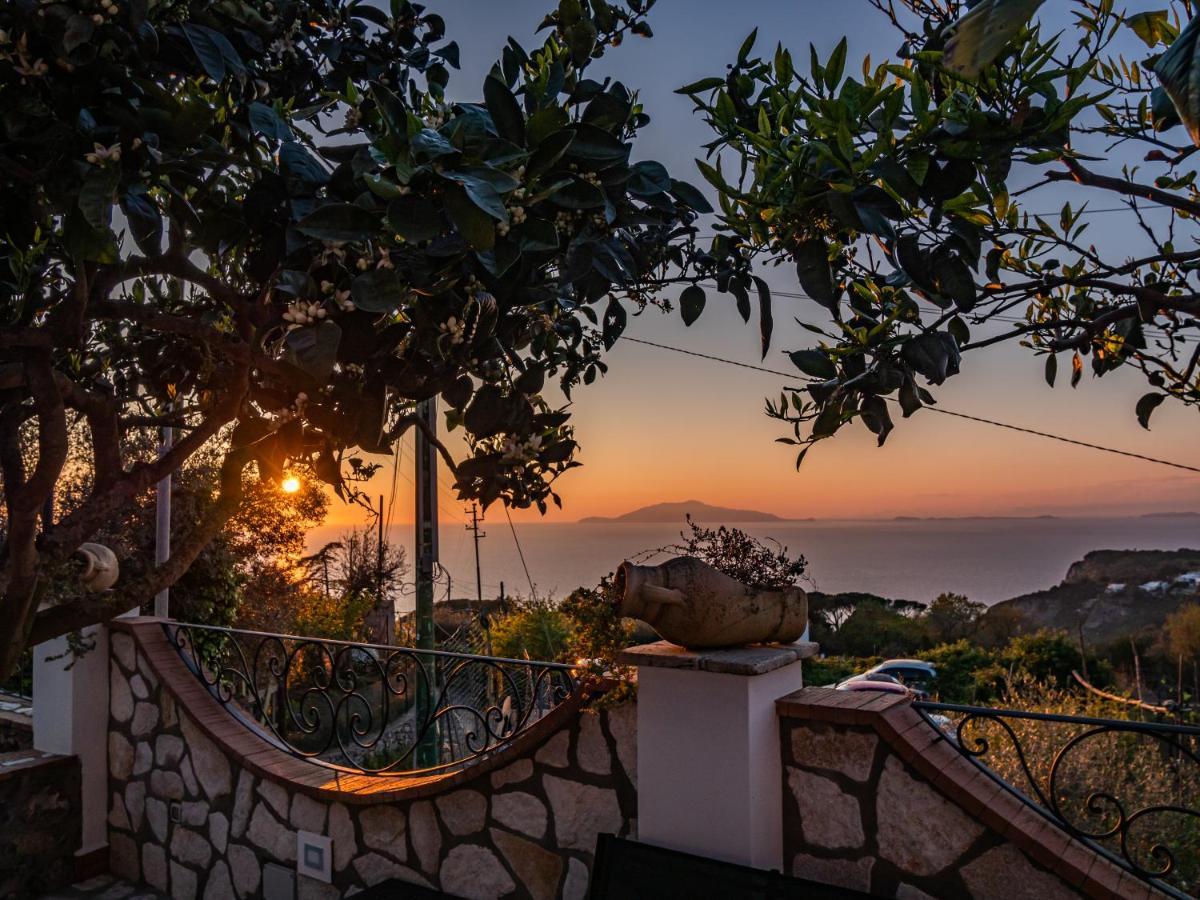 Casa Astra Anacapri (Isola di Capri) Exterior foto